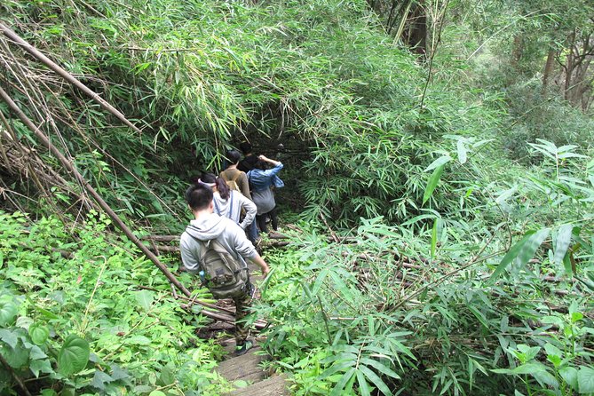 Small Group : Trekking Trip in Chiang Mai (Doi Suthep Area) with Market Tour - The trek in Doi Suthep–Pui National Park: what the forest adds