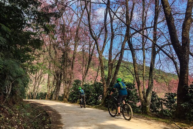 Smoke on the Water Trail Mountain Biking Tour Chiang Mai - Waterfalls and Jungle Track Time: The Scenic Payoff
