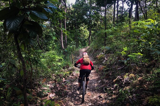 Smoke on the Water Trail Mountain Biking Tour Chiang Mai - Price and Value: What $114.03 Buys You in Real Terms