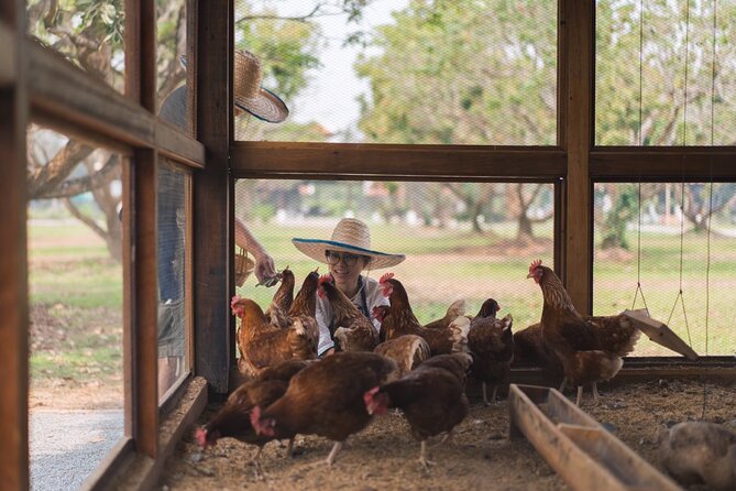 Sunset Thai Cooking with Grandma - Farm & Evening Feast - Price and value: is $45.31 worth it?