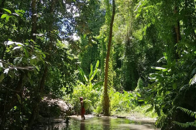 The Best Full Day Tour: Doi Suthep, Wat Phalat, Sticky Waterfall - Wat Pha Lat in the Evergreen Forest: Time to Slow Down