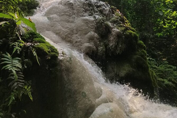 The Best Full Day Tour: Doi Suthep, Wat Phalat, Sticky Waterfall - Guides Make This Tour: Mongkol, Kiow, and the Temple-to-Waterfall Connection