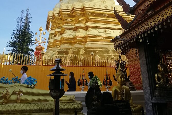 The Best Full Day Tour: Doi Suthep, Wat Phalat, Sticky Waterfall - Price and Value: What $48.67 Gets You in a Full 8–9 Hour Day