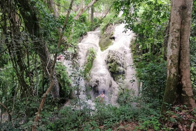 The Best Full Day Tour: Doi Suthep, Wat Phalat, Sticky Waterfall - Who This Tour Suits Best (And Who Should Think Twice)