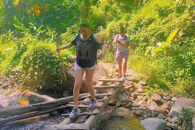 Top Pick - Full or Half Day @Elephant in Wild Sanctuary ChiangMai - Key Things to Know Before You Go