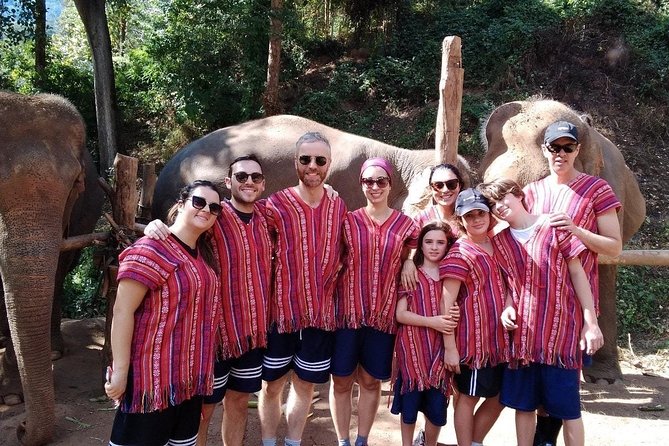 Top Pick - Full or Half Day @Elephant in Wild Sanctuary ChiangMai - A Big, Active Day in Mae Taeng: What the Tour Really Feels Like