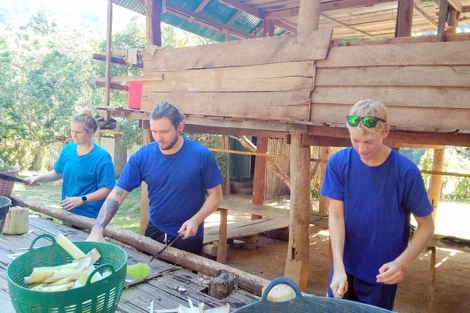 Top Pick - Full or Half Day @Elephant in Wild Sanctuary ChiangMai - White-Water Rafting Through Rainforest: Fun Rapids, Short Ride