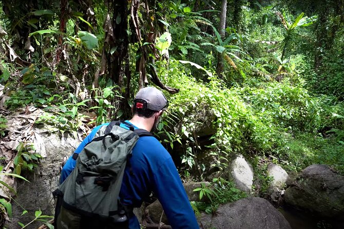 Trek to a Jungle Waterfall - The Hike In: 1.6 km Through Jungle With a Guide’s Eye