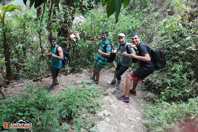 Trek to a Jungle Waterfall - What’s Included: Lunch, Snack, Water, and Admission