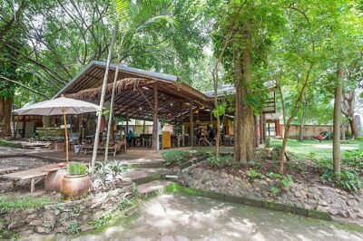Trek to a Jungle Waterfall - The Waterfall Break: Swim Time at a 10-Metre Drop