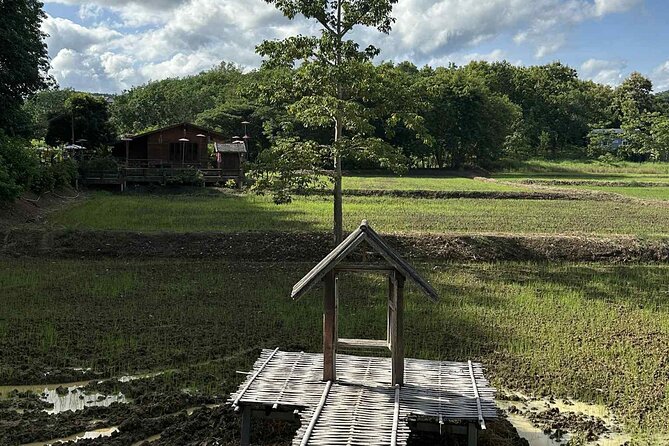 Unseen Sukhothai Province 2 Days 1 Night Private Tour - Ban Na Tan Chan Mud Cloth village: learning crafts and village life overnight