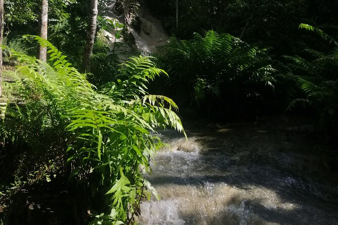 Visit Dantewada(Angel Land), Blue Temple, and Sticky Waterfall - Why this Chiang Mai combo tour works so well