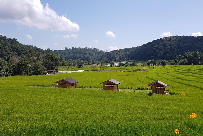 Wow! Doi Inthanon National Park Adventure, Lunch & Entry Included - Thai Hmong Community Market: Fruit, Treats, and Quick Browsing Time