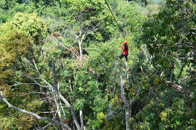 Zipline Adventure at Skyline Jungle Luge Chiang Mai - Price and Value: Is About $87 Fair for What You Get?