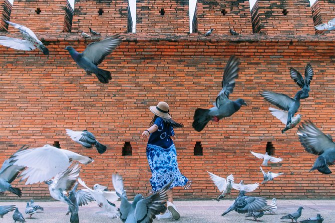 ️ Chiang Mai Instagram Tour: Most Famous Spots (Private and All-Inclusive) - Markets that actually feel local: Warorot, Khamthiang, and Night Bazaar